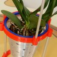 Gross-Orchdee-3.jpg Hydro potted orchid / Hydro pot orchid