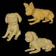 dog-set.png Dog set - Pack of 3 DOGS- DOGS PACK - YORKIE POODLE