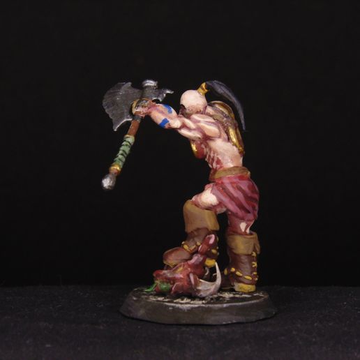 DSC02985.jpg Diablo 2 Bárbaro