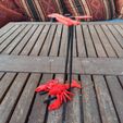 picture (4).jpg Lobster marionette