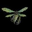 720X720-insectoide-11.jpg Bug Rider - Army of Corruption