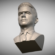 Zrzut-ekranu-2025-08-10-100720.png Mark Wahlberg bust for 3D printing