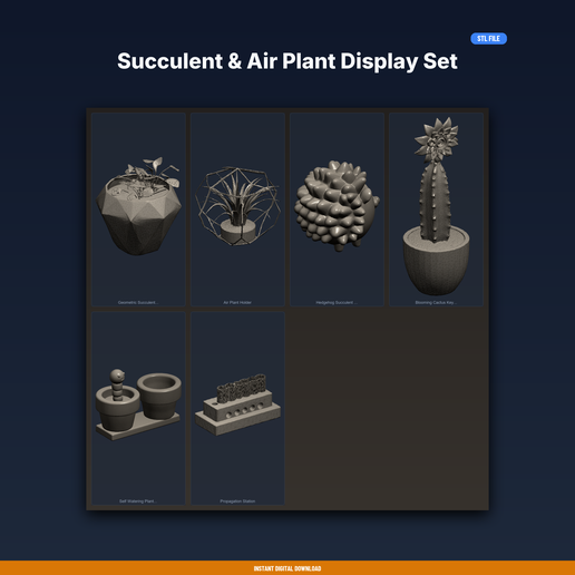 Succulent & Air Plant Display Set - 6-Model STL Bundle