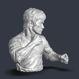Screenshot-2026-08-10-150438.png Bruce Lee Martial Arts Legend Bust - High Detail 3D Printable Model