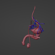 2.png 3D Model of Male Reproductive System and Veins