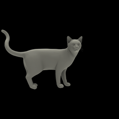 Cat-render1.png Cat