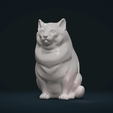 Fat_Cat-C-0002.png Fat Cat