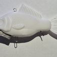 Crucian-carp-85mm-9.jpg Crucian carp vibe fishing lure