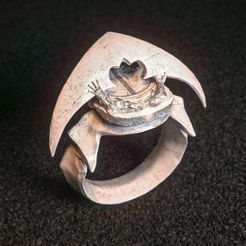25052023-Downloads0001.jpg Fichier STL gratuit Les Gravures D'argent・Modèle pour imprimante 3D à télécharger