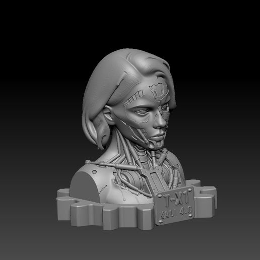 kali-02.jpg T - X1  KALI 4.0 EdBo
