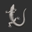 Day-Gecko11.jpg Day Gecko 3D print model