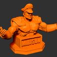 10.jpg M Bison bust 3D print model