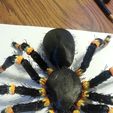 20180326_171111.jpg HAIRY tarantula (fridge magnet)