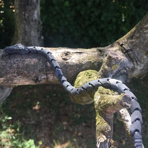 3.jpeg flexible snake