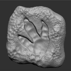 Image1.png STL file T-Rex FootPrint・3D printer design to download