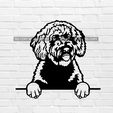 murbrique.jpg wall decor dog spanish water dog
