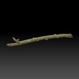 LongBranch_Tex.jpg Archivo 3D Camaleón pantera- Furcifer pardalis NosyBe-con-lengua-STL-3D-print-file-con-full-size-texture-high-polygon・Modelo de impresora 3D para descargar