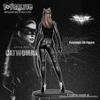 SGProyect05.jpg Catwoman (Selina Kyle) from The Dark Knight Rises Movie