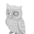 3.jpg Sweet Owl – Niedliche Eule im charmanten Stylized‑Look