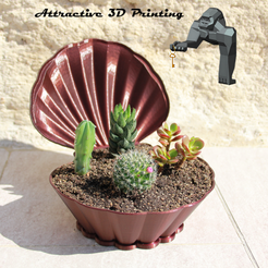 COQUILLAGE-CACTÉS-PNG.png STL file SHELL FOR SMALL SUCCULENTS・3D printer design to download