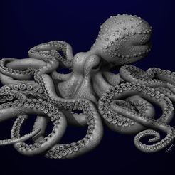 Base-Render-17775.jpg Octopus