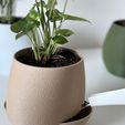 self-watering-3D-printed-planter.jpg KAPKA self watering planter