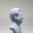11.jpg Xi Jinping 3D print model