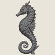 Seahorse-04.jpg Seahorse