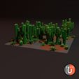 CactiForest_2.jpg Обновленная библиотека пустынных растений