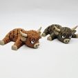 20251215_094733.jpg Flexi Highland Cow