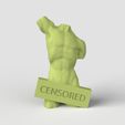 Torso.671.jpg 3Dmodel STL Statuette Torso censored