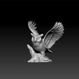 owl111.jpg Owl decorative 3d model for 3d print