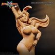 Arena-Bunny-3.jpg Arena Bunny, Breath of Fire 3, Pre-Supported