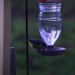 Abreuvoir-oiseau.jpg Bird feeder with Vittel bottle