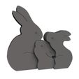 REDP_01.jpg Easter Rabbit Puzzle