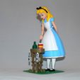 anglea1.jpg Free STL file Alice・3D printing design to download