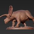 torosaurus-triceratops-drusus-5.jpg Drusus Solo- Torosaurus Triceratops Dinosaur Ceratopsian