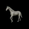 16.jpg Thoroughbred Horse model 3D print model