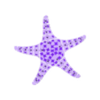 flexi sea starfish.stl flexi SEA STARFISH