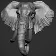 elephant-3d-model-obj-stl-ztl.jpg Elephant  Head