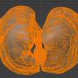 22.png 3D Model of the Lungs Airways