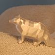 IMG20200816145001.jpg Low poly Arctic Fox