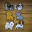 Muestra.jpeg Dog tags