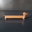 IMG-20240506-WA0021.jpg Funny Long Dachshund Dog Sausage (Cachorro Salsicha)