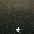 7.jpg Wet Road 8K PBR Texture