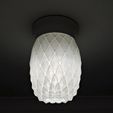 IMG_20200815_135001 crop.jpg Free STL file Pineapple Light Cover・3D printable model to download