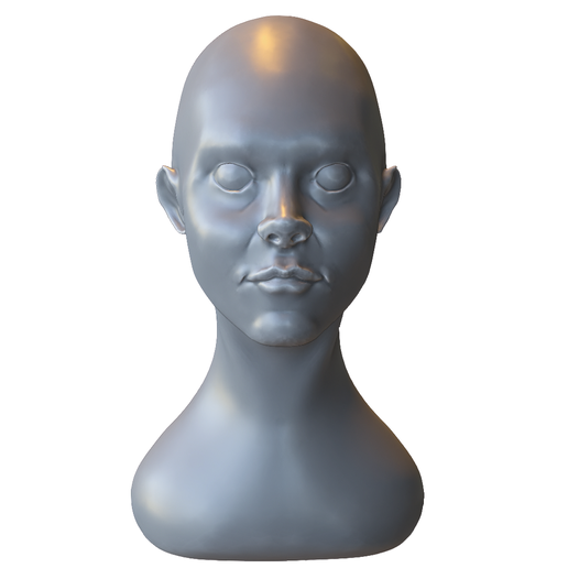 Female Mannequin Head Bust