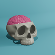 skull-coater-set6-edit.png Skull and Brain Coaster set