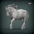 Percheron-running2.jpg Percheron läuft 3D-Druckmodell