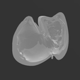 imagen_2023-07-29_173723105.png Magnetic anatomical human heart